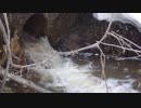2018-0412JR排水
