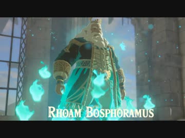 【実況】初見のゼルダをフランス語でやるとどこまでいけるのか part5