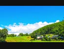 鳥のさえずり　田舎 春【立体音響】