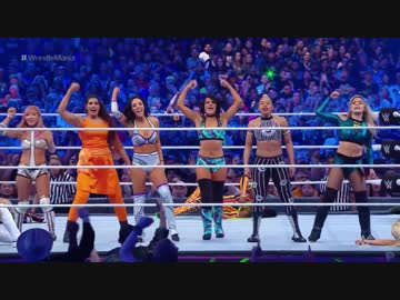 【WWE】女子バトルロイヤル【WM34】