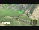 【実況】のんびり冒険記　9ページ目【ゼルダの伝説BoW】