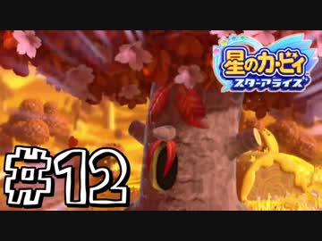 【星のカービィスターアライズ】カービィを苦しめながら実況！【実況】part12