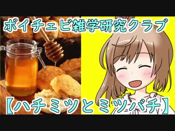 【雑学研究クラブ】蜂蜜とミツバチ Part1