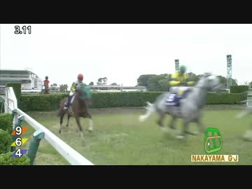 雌雄決するの時 【伝説】  中山11R 中山グランドジャンプ(JG1) 【オジュウチョウサン × アップトゥデイト】　