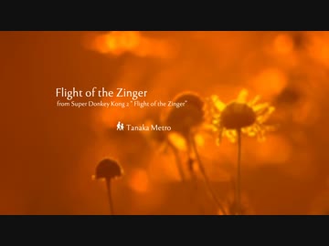 【アレンジ】Flight of the Zinger【SDK2ハニーアドベンチャー】