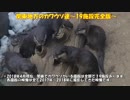 関東地方のカワウソ達(全１９施設完全版）