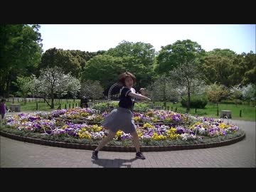 【✿ミミ✿】ワールドワイドフェスティバル踊ってみた【誕生日】