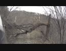 山形県山形市　戸沢滑川林道　2018/4/14