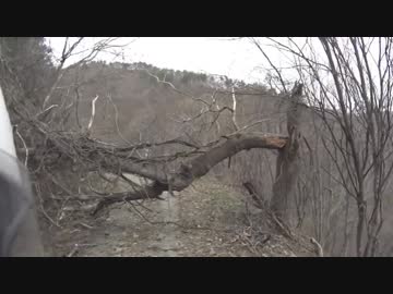 山形県山形市　戸沢滑川林道　2018/4/14