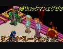 [華のある縛り実況]ロックマンエグゼ３：Part44