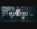 Limp Bizkit - Break Stuff (Cover by Were Wolves)