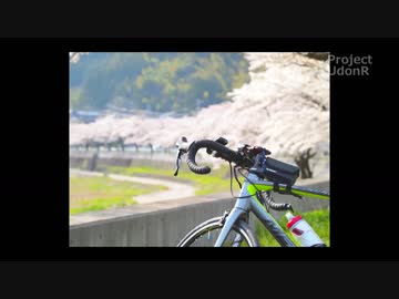 【うどんR】お花見サイクリング2018＠岐阜【ロードバイク】