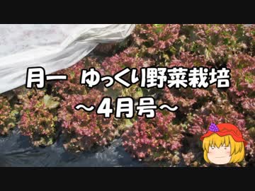 月一 ゆっくり野菜栽培 Part9