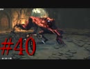【初見実況】地底人に憧れてBloodborneを実況プレイ＃40/病めるローランの聖杯