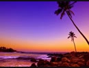 MIX#110