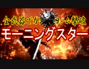 全武器でカンストヨーム撃破【モーニングスター】