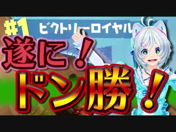 【FORTNITE】何が何でも生き残る！【プレイ実況】