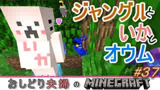 [おしどり夫婦のMinecraft#37]　ジャングル時々、遺跡。