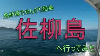 島時間のんびり猫島佐柳島へ行ってみた