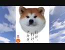 秋田県のマニアックなラーメン紹介