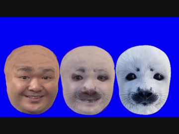 アザラシに変化するQVC福島BB