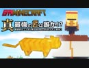 【日刊Minecraft】真・最強の匠は誰か！？絶望的センス4人衆がMinecraftをカオス実況第四十六話！