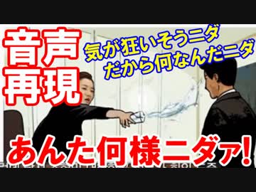 【韓国水かけ姫の火病再現音声】 あんた何様ニダァ！私、気が狂いそうニダ！だから何なんだニダｧｧ！