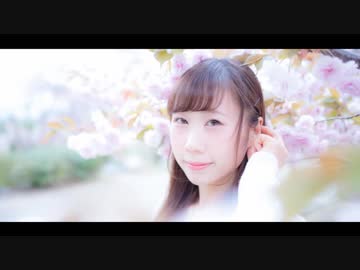 【なぁた】回る空うさぎ 踊ってみました＊【春】