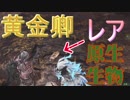 【必見】初見でレアな環境生物に出会った【MHW】