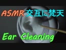 【ASMR】ゆっくりと耳の周囲を交互梵天【立体音響】