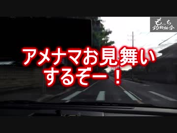 もっち釣動組合♪#２０【アメナマお見舞いするぞ！】