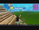 【あらげのFortnite】10killだけどなんか疲れたドン勝