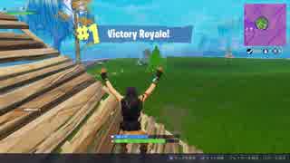 【あらげのFortnite】10killだけどなんか疲れたドン勝