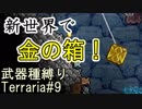 【装備共有テラリア】―釣り編― 初心者を連れ絶体絶命な縛りで世界侵攻　エキスパート#9【4人実況】