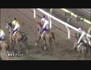 2018年　第29回 東京スプリント（JpnⅢ）【グレイスフルリープ】