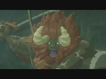 【実況】初見のゼルダをフランス語でやるとどこまでいけるのか part9