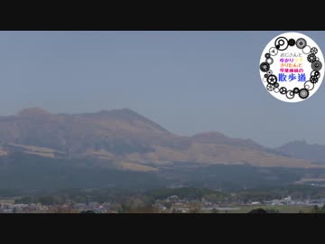 おじさんとゆかりマキきりたんと琴葉姉妹の散歩道(散歩之拾壱前編)