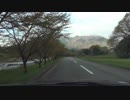 三重県いなべ市まで桜を見に行った　2018