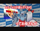 【第1回V-1】羽鳥ぽぽぽ（鳩）春を語る！【羽鳥ぽぽぽ 第002羽】