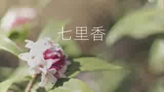 周杰倫さんの七里香を歌ってみました！