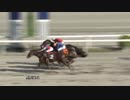 2018年4月21日高知競馬3R 有澤久貴・高橋巧協賛 月一会４００回特別(C2-8組) レマンコ