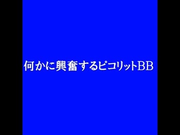 何かに興奮するピコリット