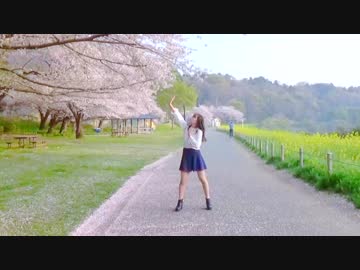 【Fuwa】ハイドアンド・シーク 踊ってみた【満開の桜】