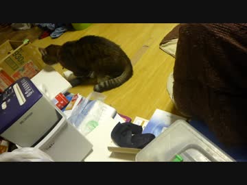 スリスリ,ごろんこ