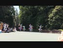 ドリーミング・アップ スタート地点