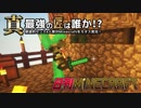 【日刊Minecraft】真・最強の匠は誰か！？絶望的センス4人衆がMinecraftをカオス実況第五十話！