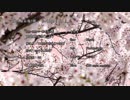 【M3 2018春】フルHD動画素材集「patchwork_07」サンプル