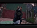 【FARCRY ５　実況】信じよ、崇めよ、服従せよ　その９【赤裸々部】