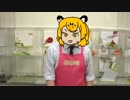 QVCジャガ島