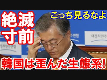 【韓国経済は歪んだ生態系で絶滅危惧】 こっち見てる、また見てる！アベノミクスをパクるニダァァ